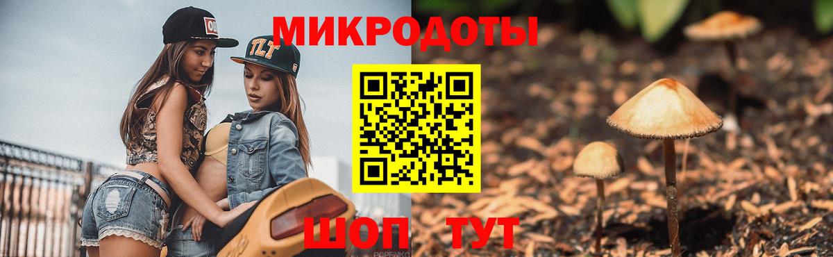 Галлюциногенные грибы прущие грибы  Галлюциногенные грибы мицелий  Сибай  Вход с VPN 
