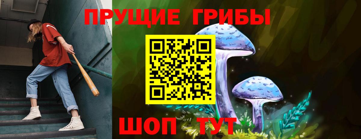 Псилоцибиновые грибы MAGIC MUSHROOMS Сибай